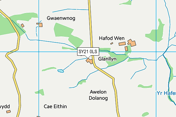 SY21 0LS map - OS VectorMap District (Ordnance Survey)