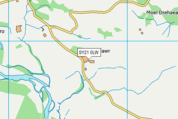 SY21 0LW map - OS VectorMap District (Ordnance Survey)