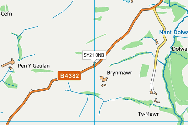 SY21 0NB map - OS VectorMap District (Ordnance Survey)