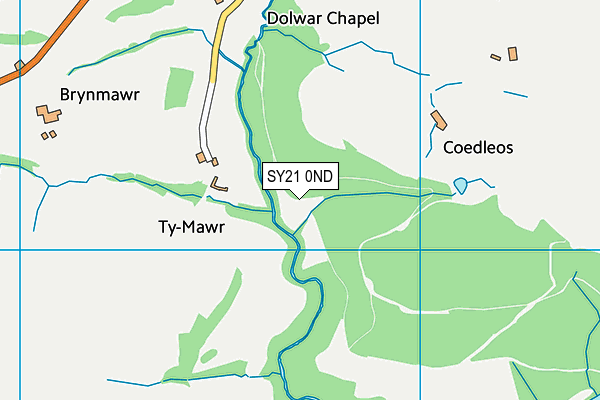 SY21 0ND map - OS VectorMap District (Ordnance Survey)