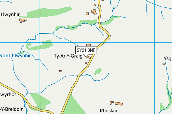 SY21 0NF map - OS VectorMap District (Ordnance Survey)