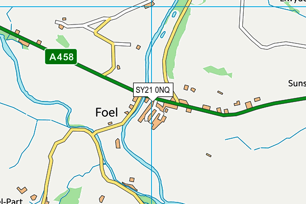 SY21 0NQ map - OS VectorMap District (Ordnance Survey)