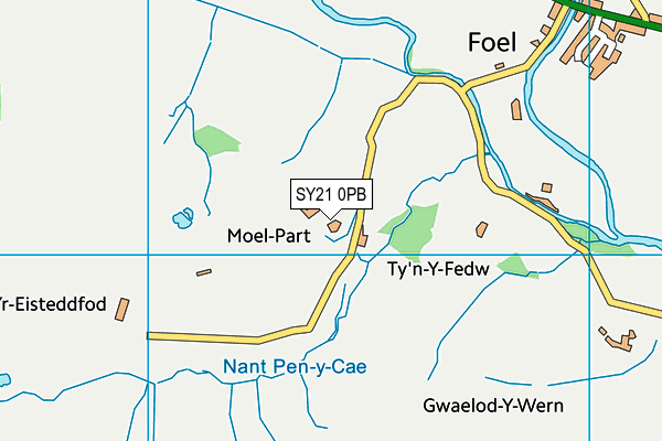 SY21 0PB map - OS VectorMap District (Ordnance Survey)
