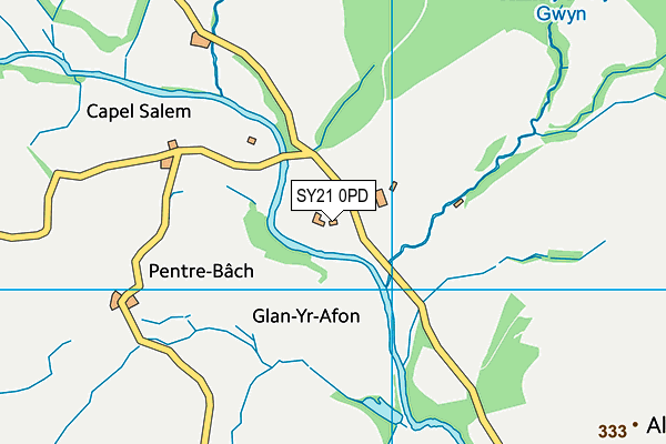 SY21 0PD map - OS VectorMap District (Ordnance Survey)