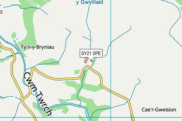 SY21 0PE map - OS VectorMap District (Ordnance Survey)