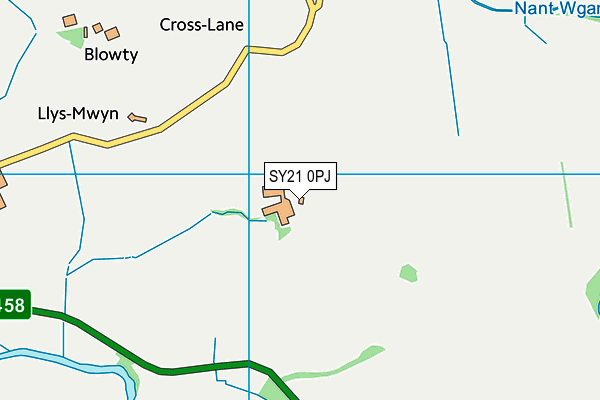 SY21 0PJ map - OS VectorMap District (Ordnance Survey)