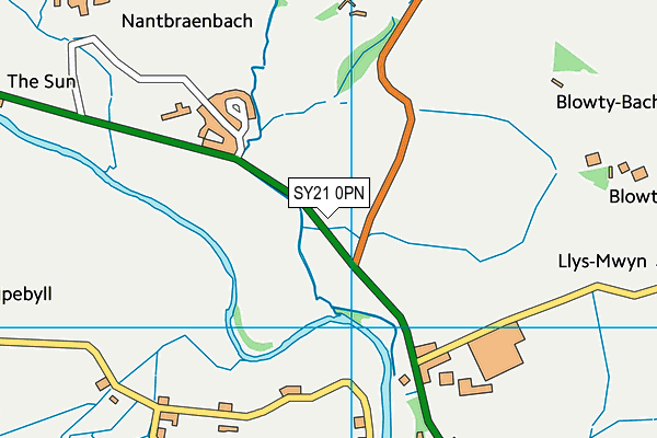 SY21 0PN map - OS VectorMap District (Ordnance Survey)