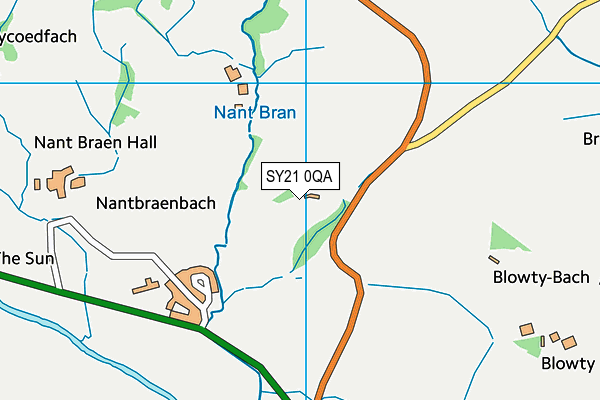 SY21 0QA map - OS VectorMap District (Ordnance Survey)