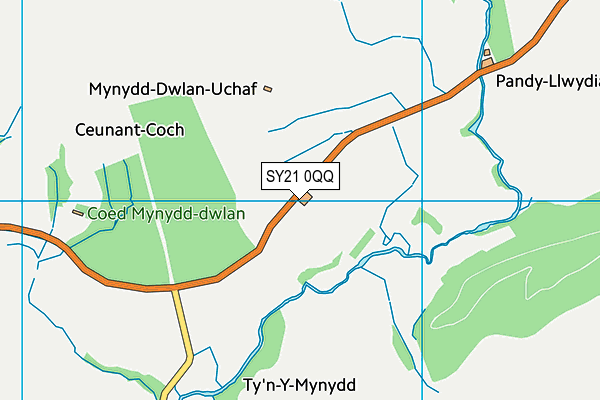 SY21 0QQ map - OS VectorMap District (Ordnance Survey)