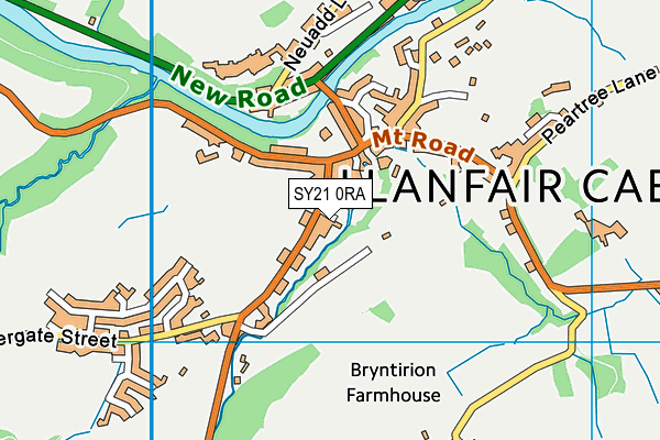 SY21 0RA map - OS VectorMap District (Ordnance Survey)