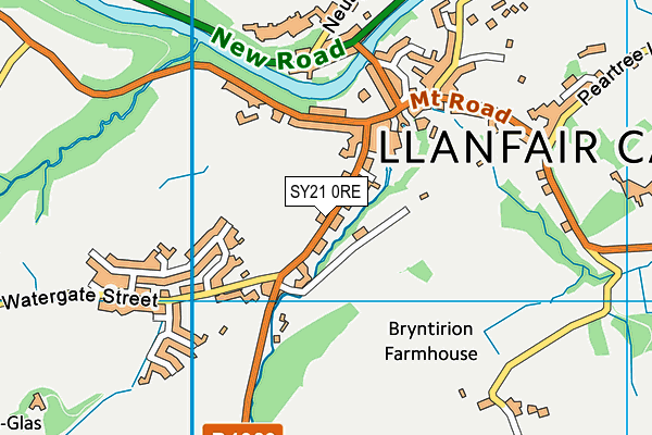 SY21 0RE map - OS VectorMap District (Ordnance Survey)