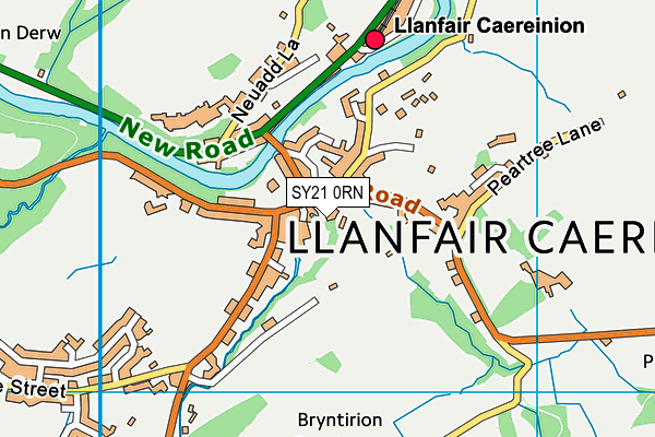 SY21 0RN map - OS VectorMap District (Ordnance Survey)