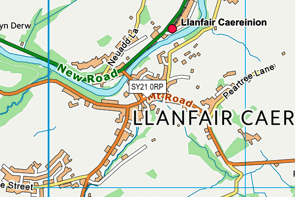 SY21 0RP map - OS VectorMap District (Ordnance Survey)