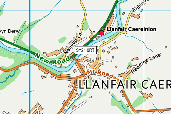 SY21 0RT map - OS VectorMap District (Ordnance Survey)