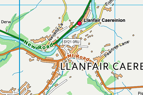 SY21 0RU map - OS VectorMap District (Ordnance Survey)