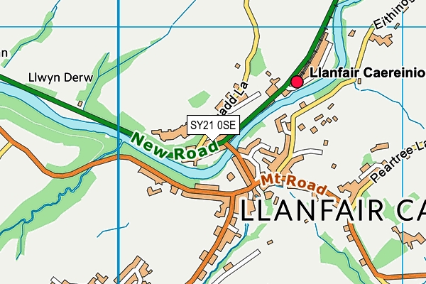 SY21 0SE map - OS VectorMap District (Ordnance Survey)