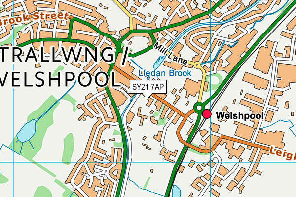 SY21 7AP map - OS VectorMap District (Ordnance Survey)