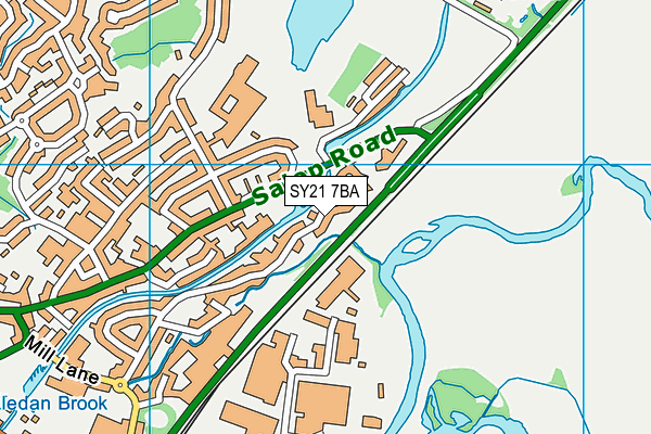 SY21 7BA map - OS VectorMap District (Ordnance Survey)