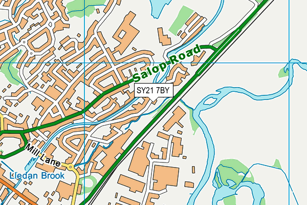 SY21 7BY map - OS VectorMap District (Ordnance Survey)