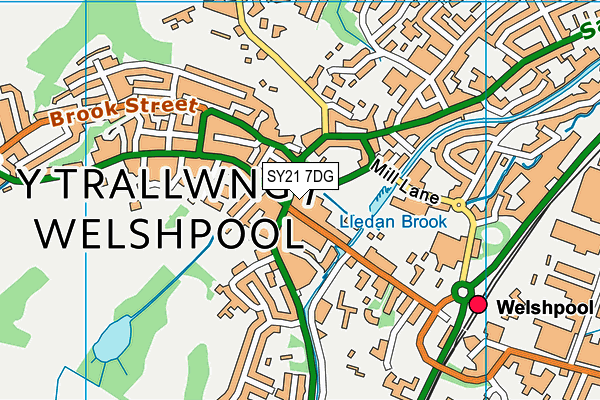 SY21 7DG map - OS VectorMap District (Ordnance Survey)