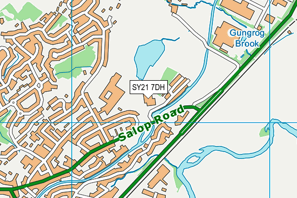 SY21 7DH map - OS VectorMap District (Ordnance Survey)
