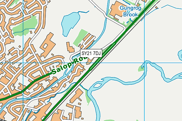 SY21 7DJ map - OS VectorMap District (Ordnance Survey)