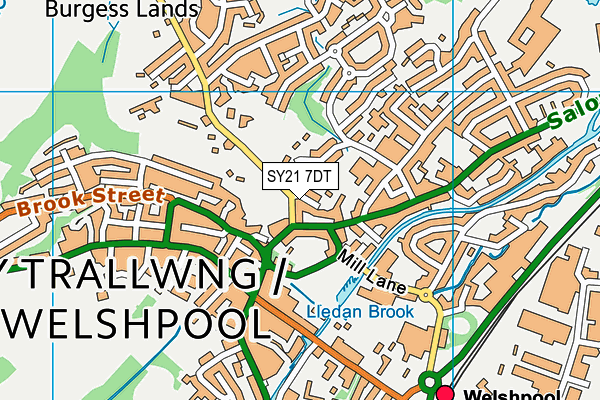 SY21 7DT map - OS VectorMap District (Ordnance Survey)