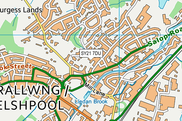 SY21 7DU map - OS VectorMap District (Ordnance Survey)