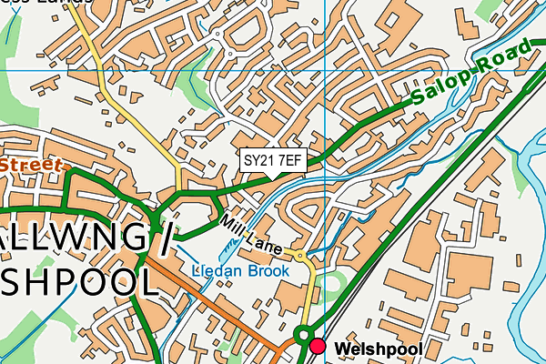 SY21 7EF map - OS VectorMap District (Ordnance Survey)