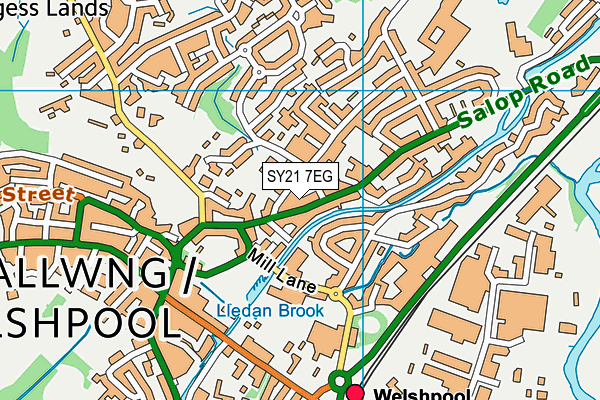 SY21 7EG map - OS VectorMap District (Ordnance Survey)