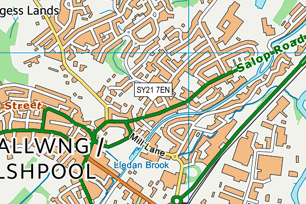 SY21 7EN map - OS VectorMap District (Ordnance Survey)