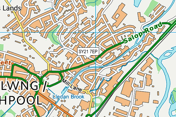 SY21 7EP map - OS VectorMap District (Ordnance Survey)