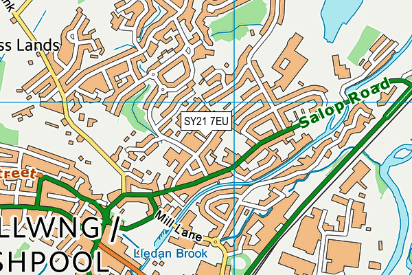 SY21 7EU map - OS VectorMap District (Ordnance Survey)