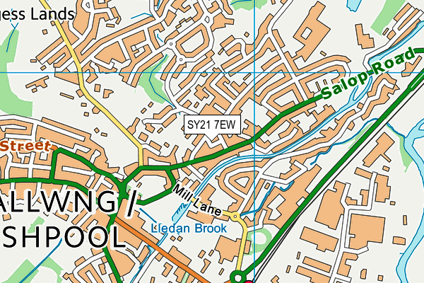 SY21 7EW map - OS VectorMap District (Ordnance Survey)