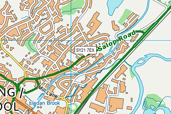 SY21 7EX map - OS VectorMap District (Ordnance Survey)