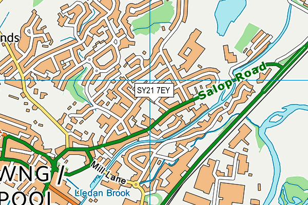 SY21 7EY map - OS VectorMap District (Ordnance Survey)