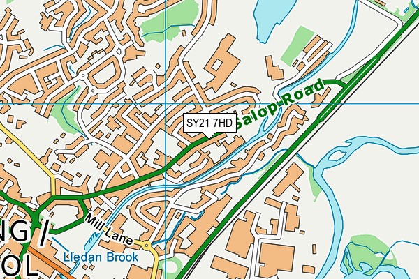 SY21 7HD map - OS VectorMap District (Ordnance Survey)