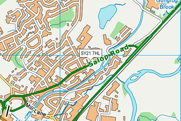 SY21 7HL map - OS VectorMap District (Ordnance Survey)