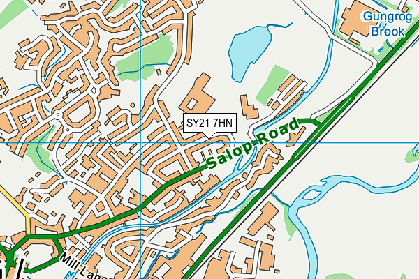 SY21 7HN map - OS VectorMap District (Ordnance Survey)