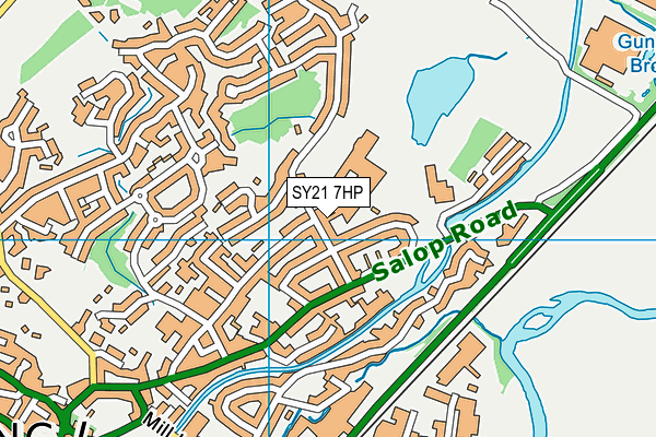 SY21 7HP map - OS VectorMap District (Ordnance Survey)