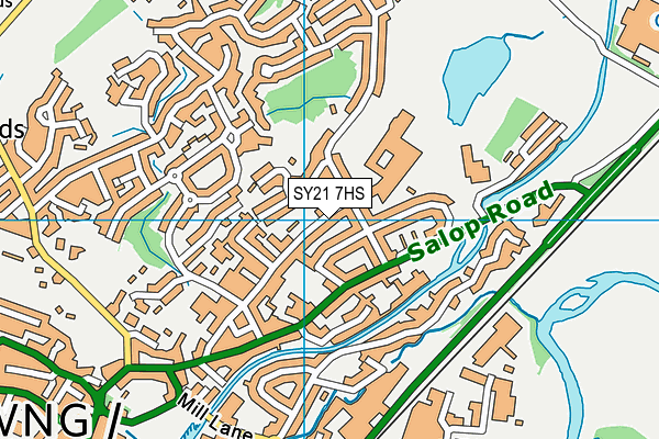 SY21 7HS map - OS VectorMap District (Ordnance Survey)