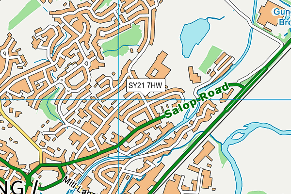 SY21 7HW map - OS VectorMap District (Ordnance Survey)
