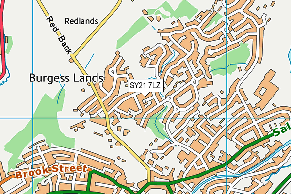 SY21 7LZ map - OS VectorMap District (Ordnance Survey)