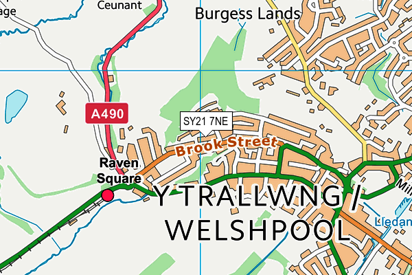 SY21 7NE map - OS VectorMap District (Ordnance Survey)