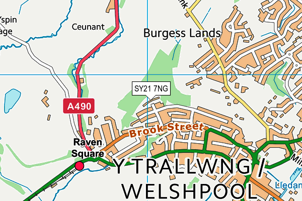 SY21 7NG map - OS VectorMap District (Ordnance Survey)