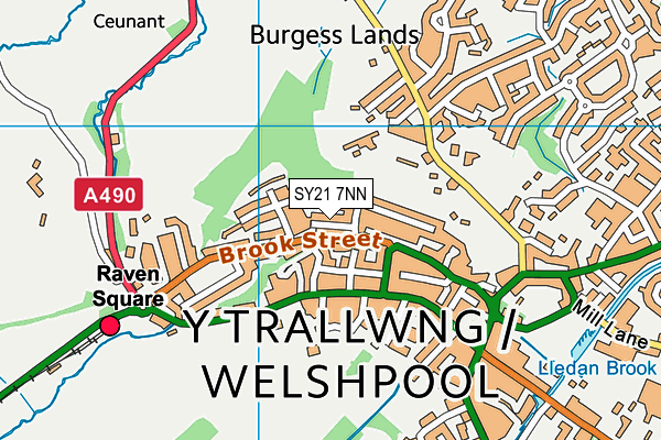 SY21 7NN map - OS VectorMap District (Ordnance Survey)