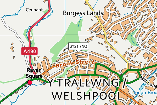 SY21 7NQ map - OS VectorMap District (Ordnance Survey)