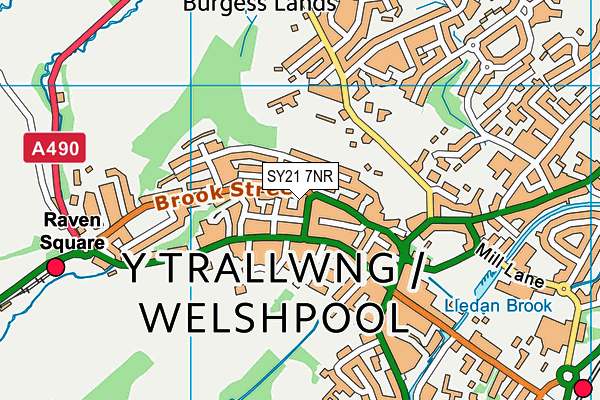 SY21 7NR map - OS VectorMap District (Ordnance Survey)