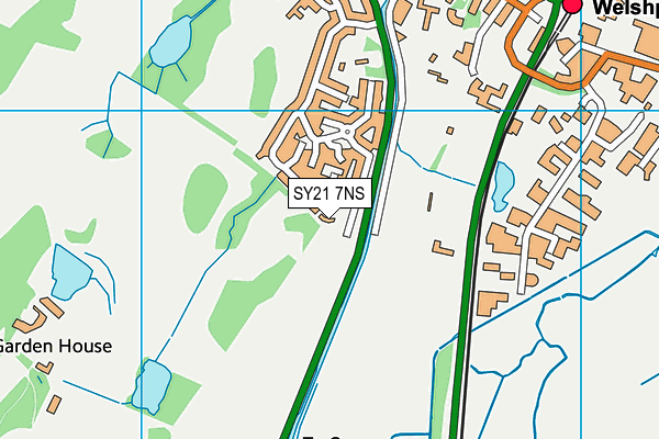 SY21 7NS map - OS VectorMap District (Ordnance Survey)