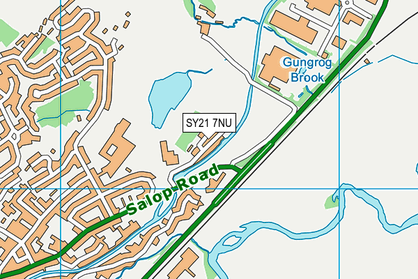 SY21 7NU map - OS VectorMap District (Ordnance Survey)